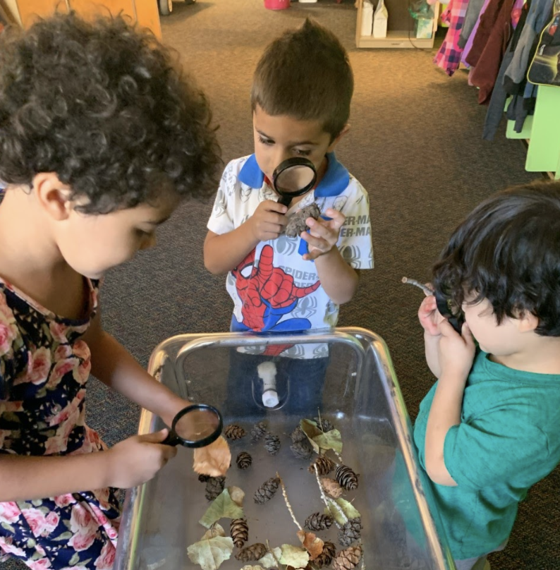 preschools examining leaves with magnifying glasses